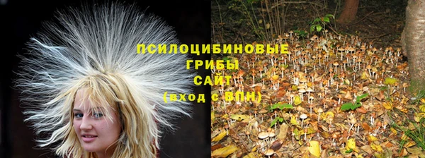 Альфа ПВП Армянск
