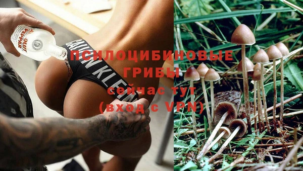 Альфа ПВП Армянск